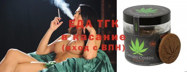 стафф Елизово